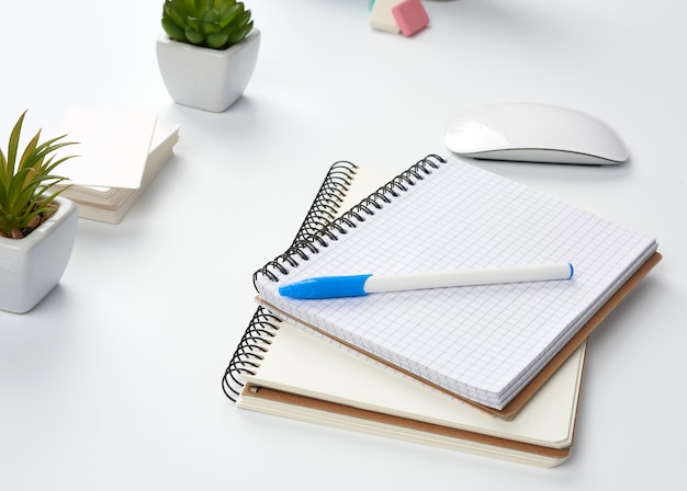 Open paper notebooks and pen, computer mouse and green plants in a flowerpot