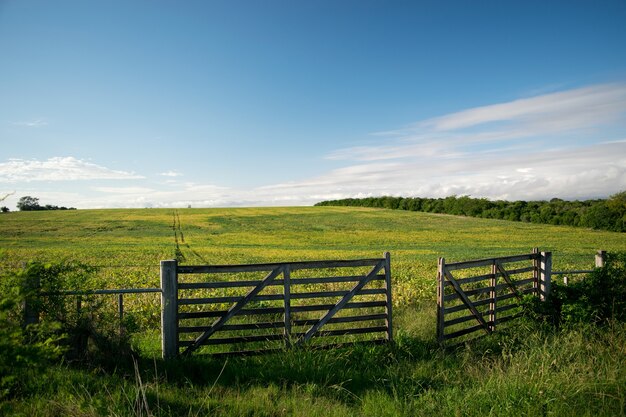 Open poort in een groen boerderijveld.