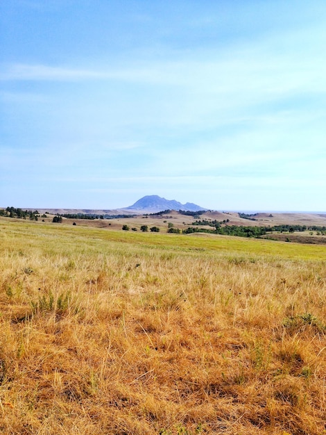 Foto open prairie met berg op de achtergrond.