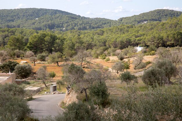open road at santa agnes, ibiza, spain
