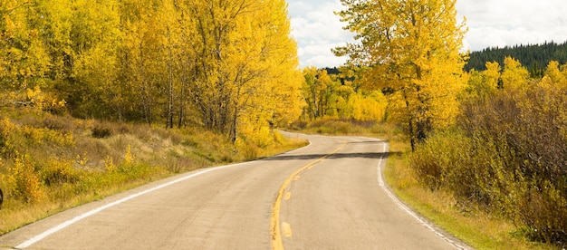 Open Road Scenic Journey Two Lane Blacktop Highway