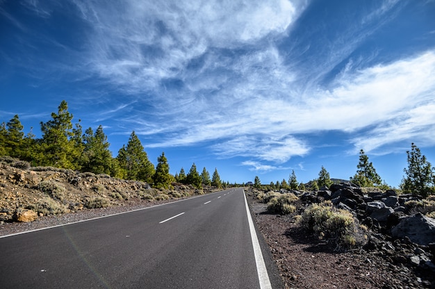 Strada aperta per il vulcano teide. strada tortuosa di montagna nel bellissimo paesaggio. tenerife, isole canarie