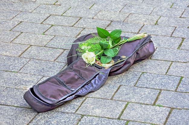Open violin case, money and a beautiful white rose on the pavement