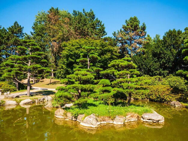 Openbaar groen gebied Nordpark Düsseldorf