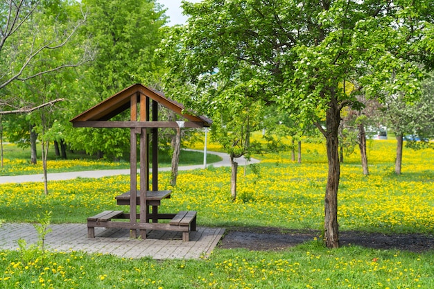 Openbaar park met picknickplaats, gele paardebloemenweide en lenteboom rondom