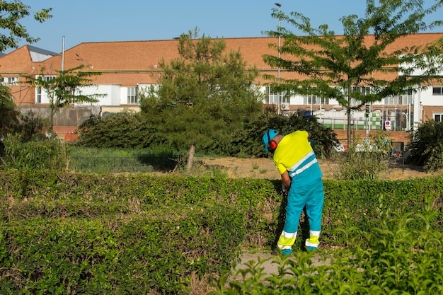 Openbare schoonmaakmedewerker gebruikt individuele beschermingsmiddelen en een maaier om struiken te maaien op de openbare weg