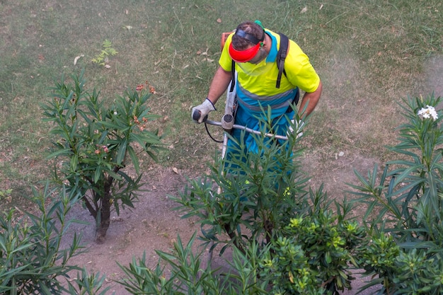 Openbare schoonmaakmedewerker gebruikt individuele beschermingsmiddelen en een maaier om struiken te maaien op de openbare weg