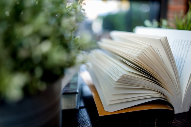 Opened book placed on the desk