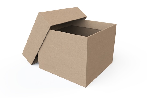 Opened Cardboard box on a white background