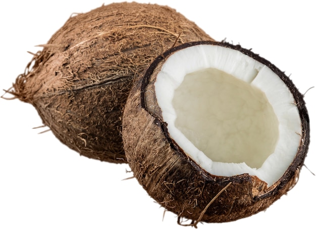 Opened coconut