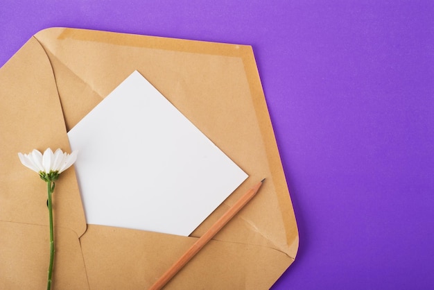 Photo opened craft paper envelope with empty piece of paper and white flowers from above on very peri background. zero waste concept. organic material. top view, copy space