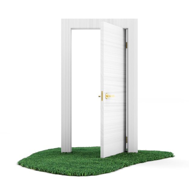 opened door on green grass