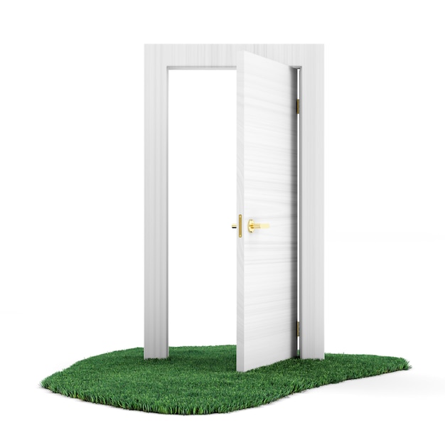 Opened door on green grass