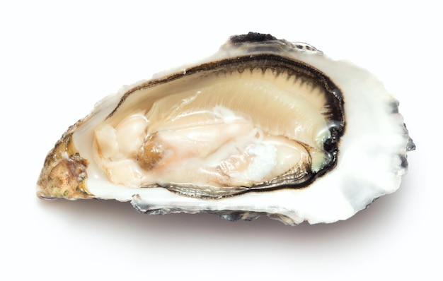 Opened fresh oyster