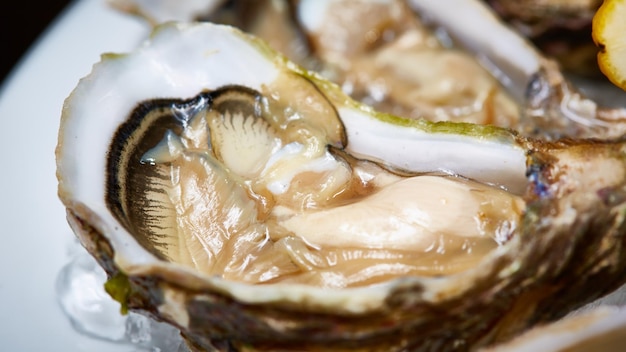 Opened fresh oysters with lemon on dish Shallow dof