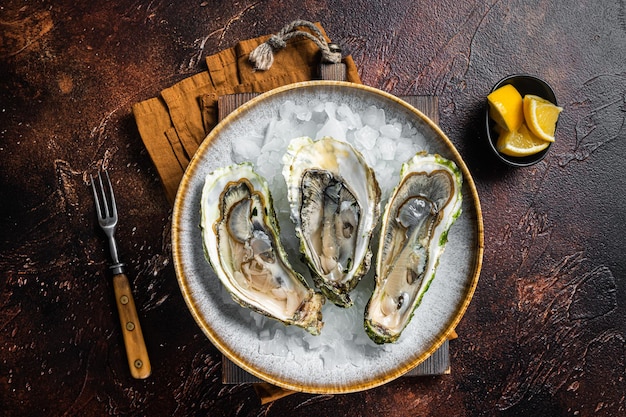 Opened Fresh oysters with lemon and ice in a plate. Dark background. Top view.