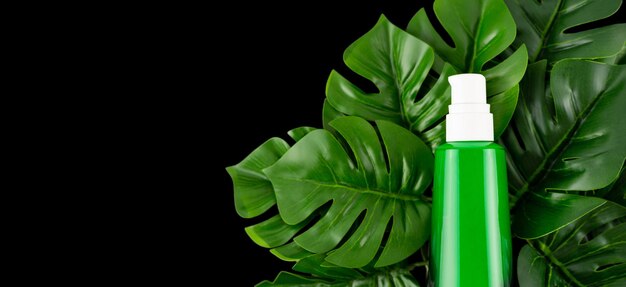 Opened green bottle with tropical monstera leaf on black background close up Brand packaging mockup