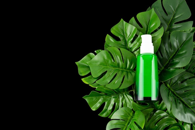 Opened green Bottle with tropical monstera leaf isolated black background close up Brand packaging