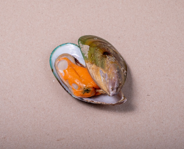 Opened green mussel on a gray paper background