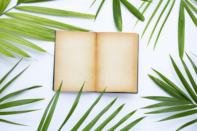 Foto vecchio libro aperto con foglie di palma tropicale su superficie bianca