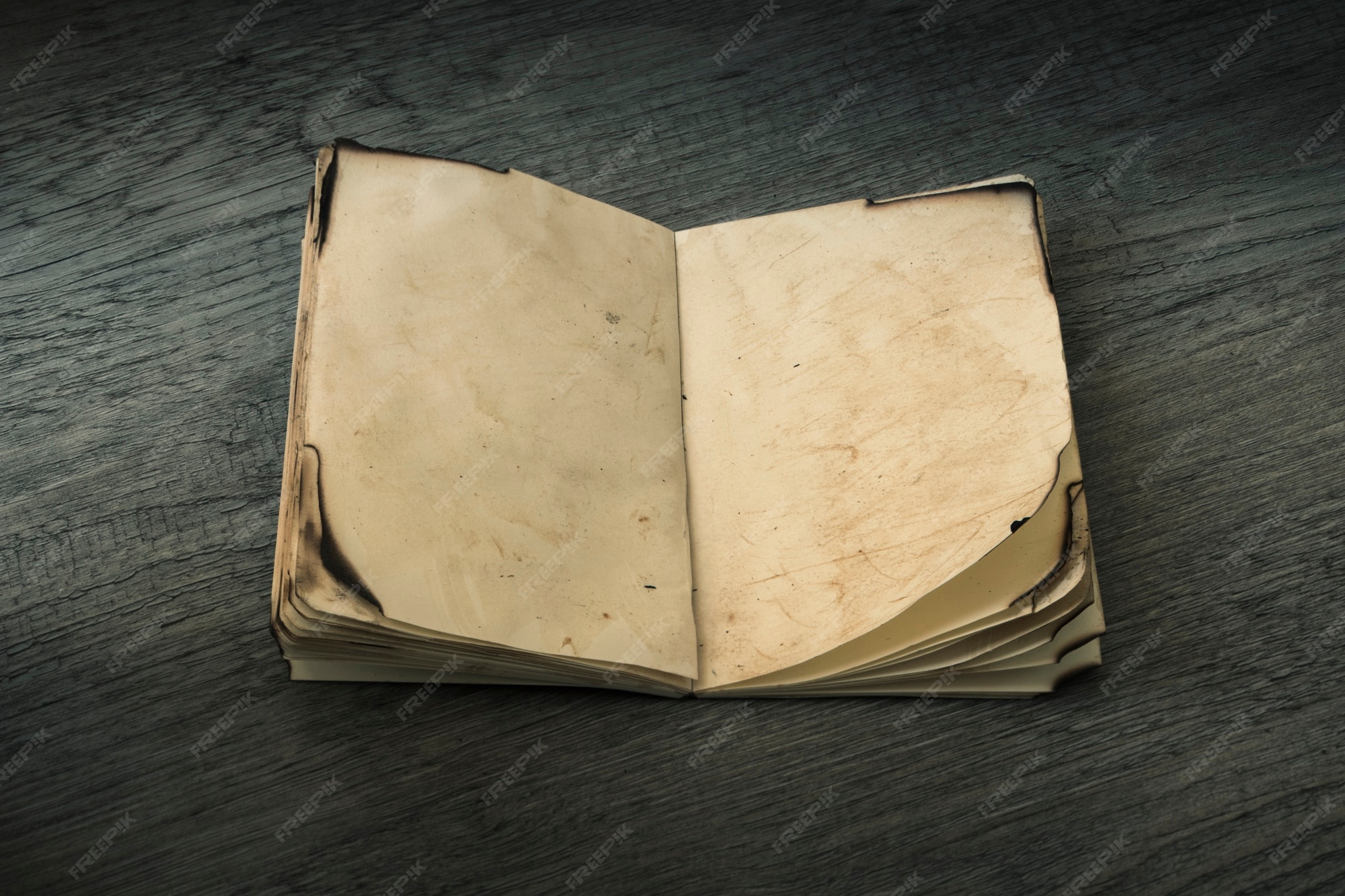 Старая записная книжка открытая
