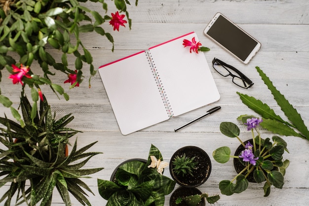 Opened paper notebook with blank pages and smartphone between many plants on the white wooden background. Copy space, flatlay