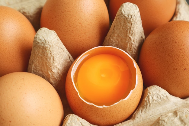 An opened shell fresh organic egg in the carton box