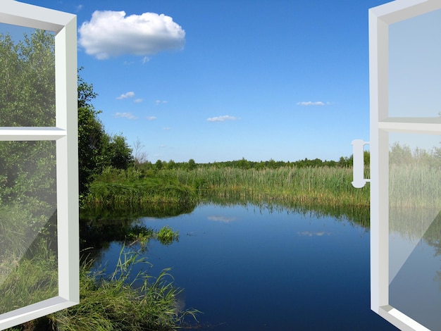 Opened window to the summer lake and meadow