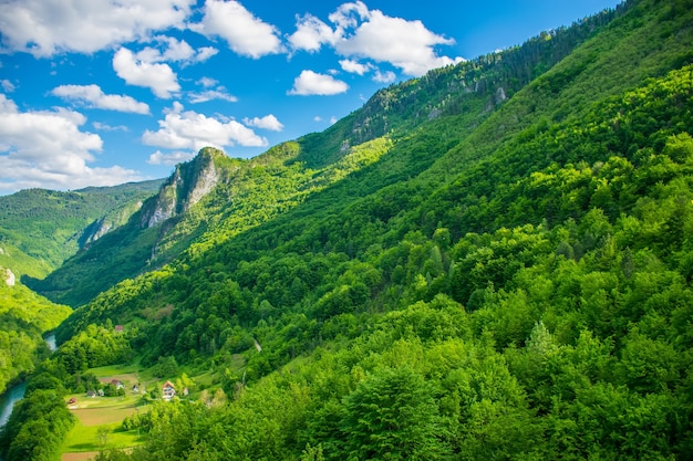 The opening of the landscape from the bridge Djurdjevic in the north of Montenegro.