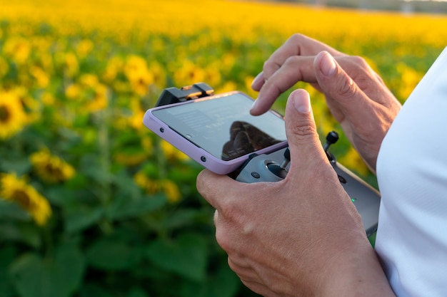 The operator holds the remote control of the drone in his hands
against the background of a sunflower field and clouds a farmer in
a white tshirt and cap uses a quadcopter to work at an
industrial