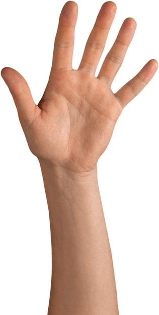 opgeheven hand