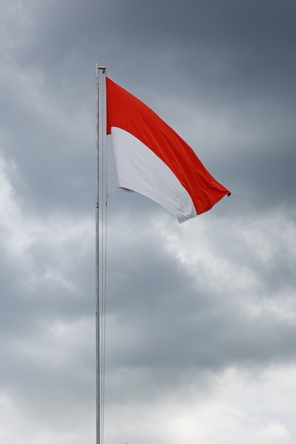 Foto opgeheven vlag van indonesië