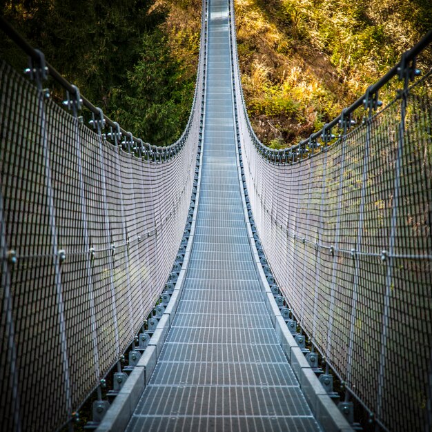 Opgeschorte brug op alpen