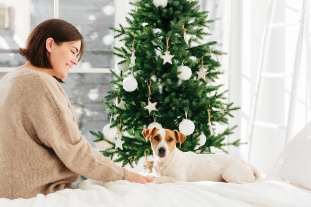 Opgetogen van optimistische vrouw met donker haar draagt warme wijnsweater en drukt tedere gevoelens uit om hond te poseren op bed in slaapkamer Nieuwjaarsboom op de achtergrond Vrolijk kerstfeest en fijne feestdagen