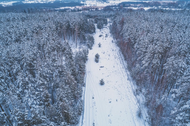 Opheldering in een besneeuwd dennenbos in de winter Uitzicht van bovenaf