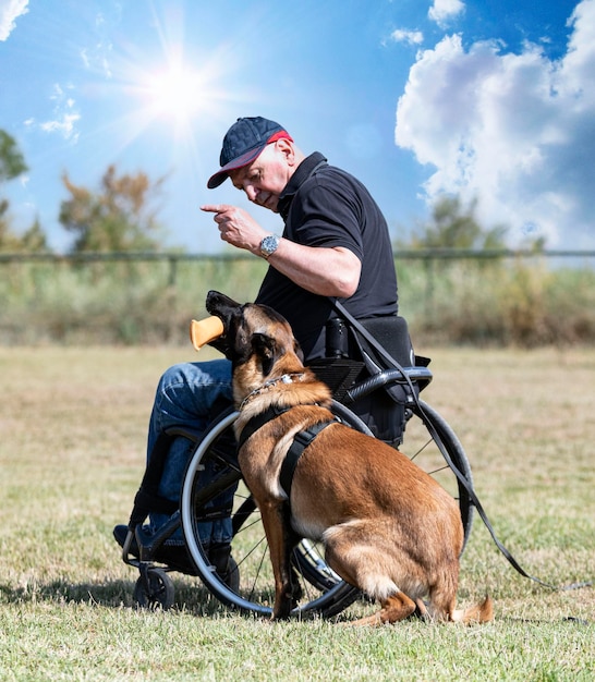 Foto opleiding belgische herder