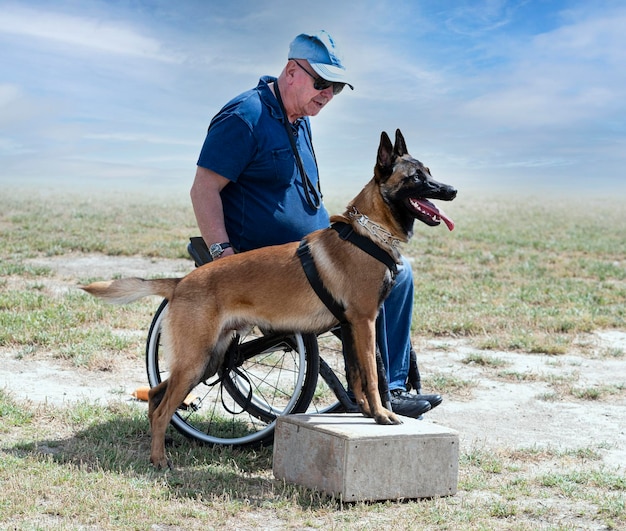 Opleiding belgische herder