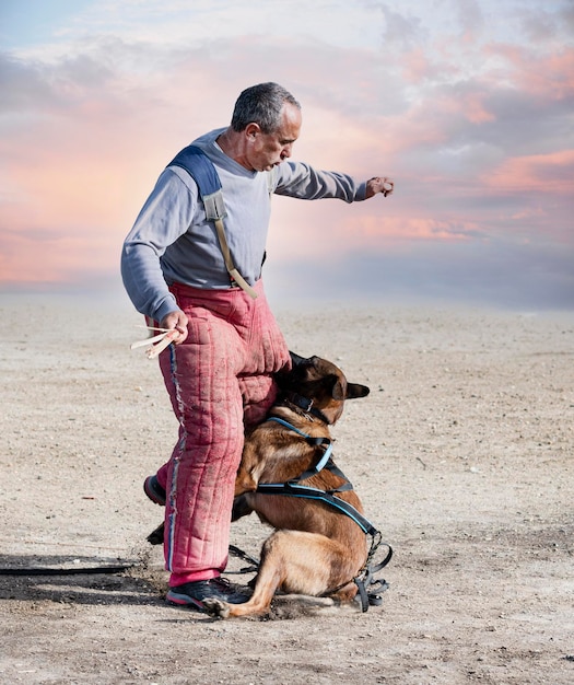 Opleiding belgische herder