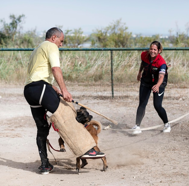 opleiding van de Belgische herder