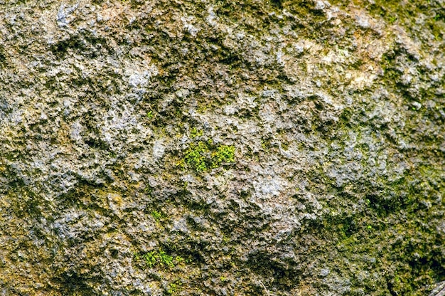 Oppervlak van de steen met mos voor natuurlijke achtergrond