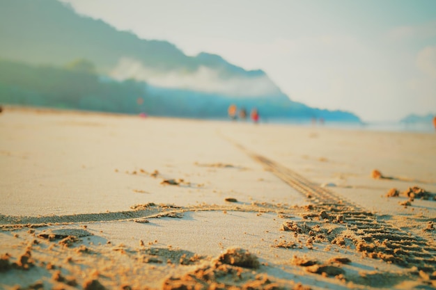 Oppervlak van het zandstrand
