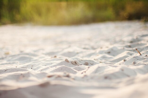 Oppervlak van het zandstrand