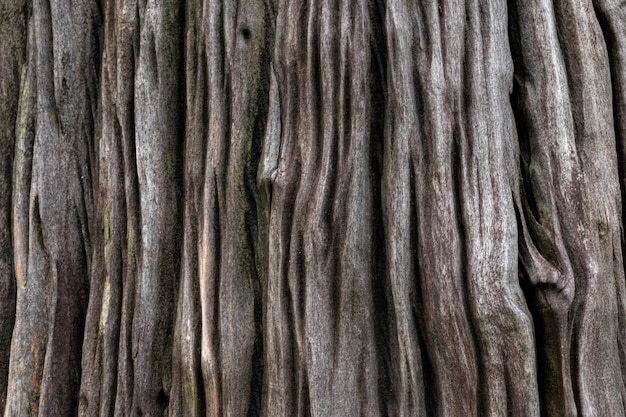 Oppervlak van oud gestructureerd hout