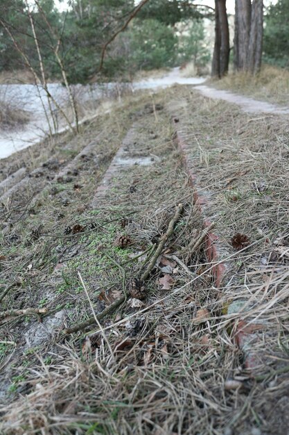 Oppervlakte van het landschap