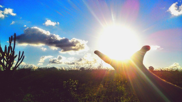 Photo optical illusion of hand holding sun over field