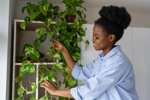 Optimistic African American woman tending climbing plants hanging from wall cabinet with smile