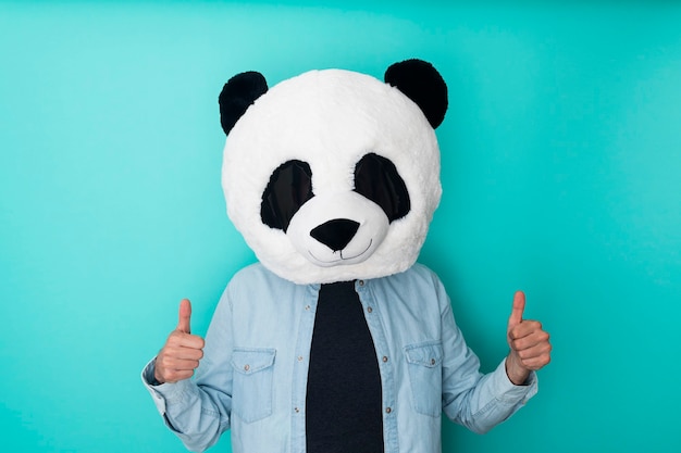 Optimistic man in panda mask with thumbs up against blue wall