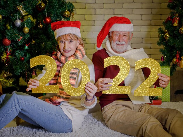 Optimistic senior man with knitted scarf looking at camera with\
smile and showing presents while sitting on carpet near decorated\
christmas trees against brick wall