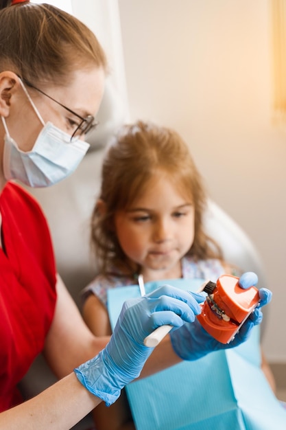 Oral hygiene lesson of jaw anatomical model for child in dentistry Dentist shows child how to properly brush his teeth with a toothbrush