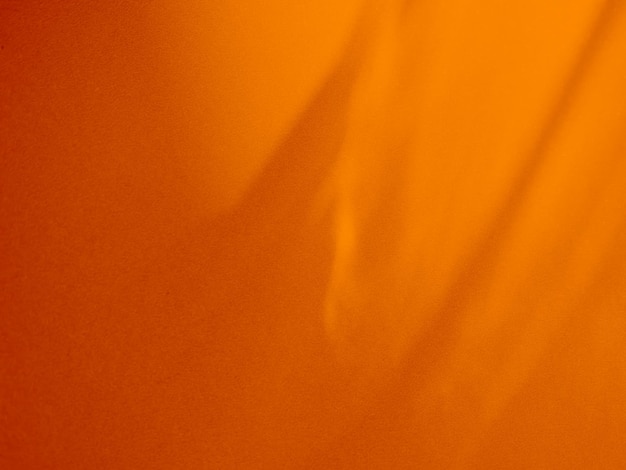 Photo orange background with a white line in the middle